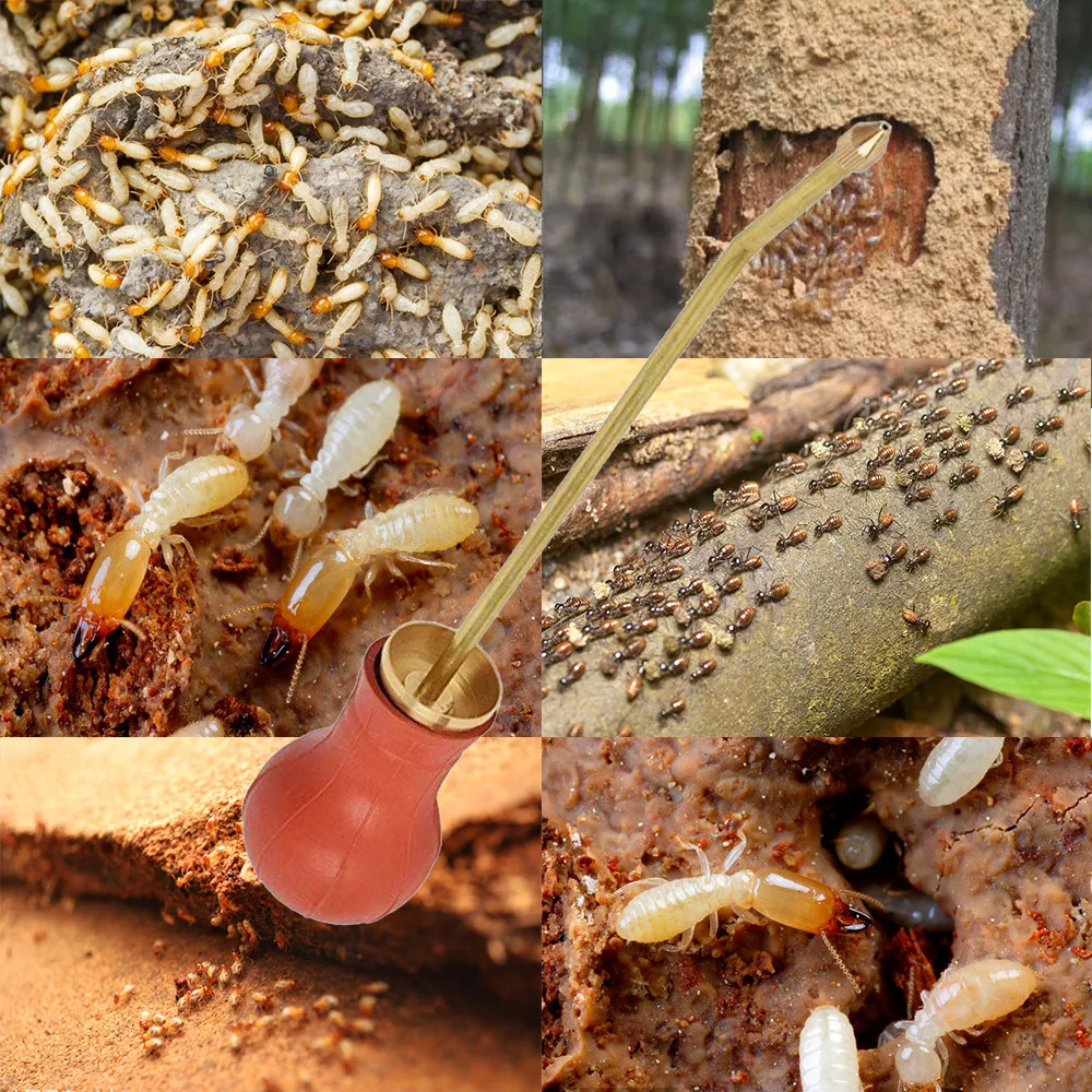 10 - ZJH80914885_20180915093208442