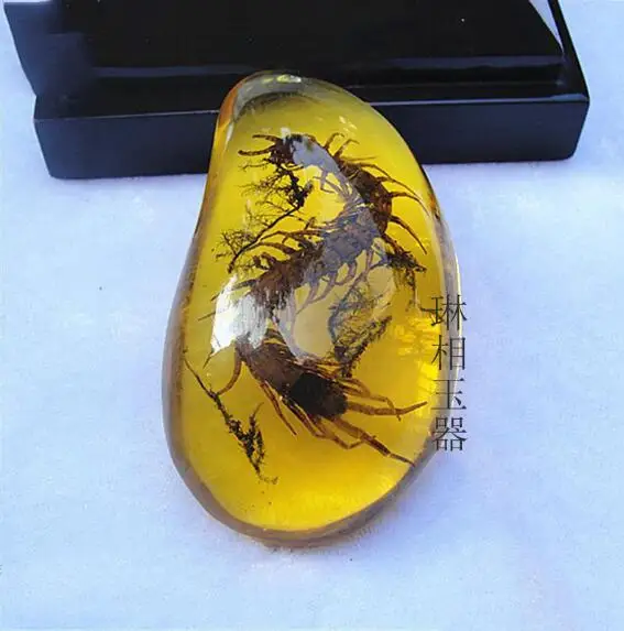Бирма янтарь Amber насекомых кулон Воск насекомых змея стандарт янтарный кулон модные Универсальные новые творческие