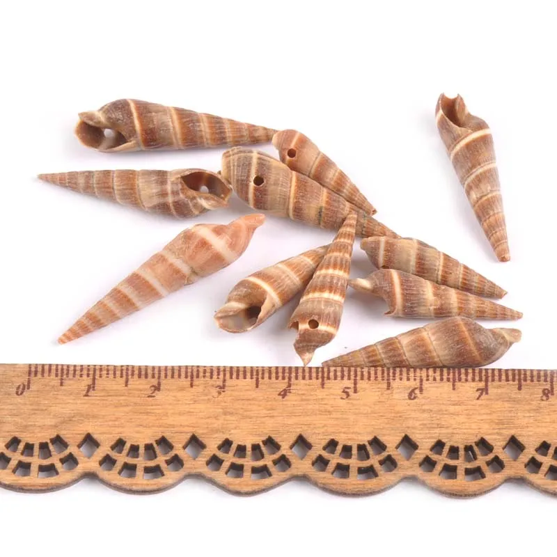 20Pcs Natural Brown Seashells Craft DIY Scrapbooking One Hole Spiral Shells Handmade For Glass Bottle Home Decora 30-43mm TR0128
