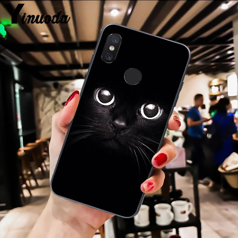 Cute Black Cat Staring Eyes 