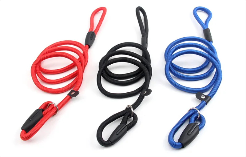 Nylon dog leash 1