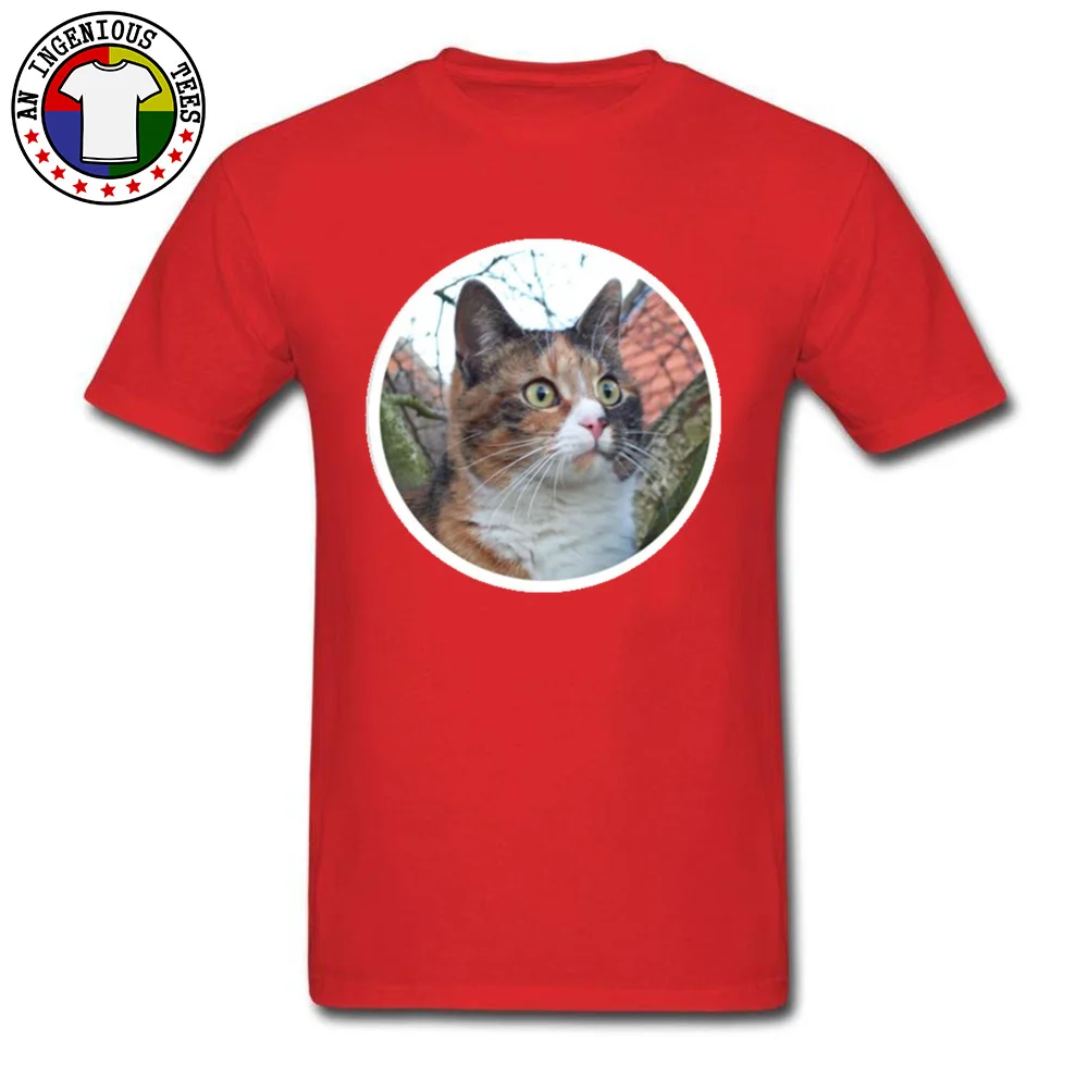 Beautiful Calico Cat New Design Short Sleeve Normal T-Shirt 100% Cotton Crewneck Men Tops Shirts Comics Sweatshirts Summer Fall Beautiful Calico Cat red