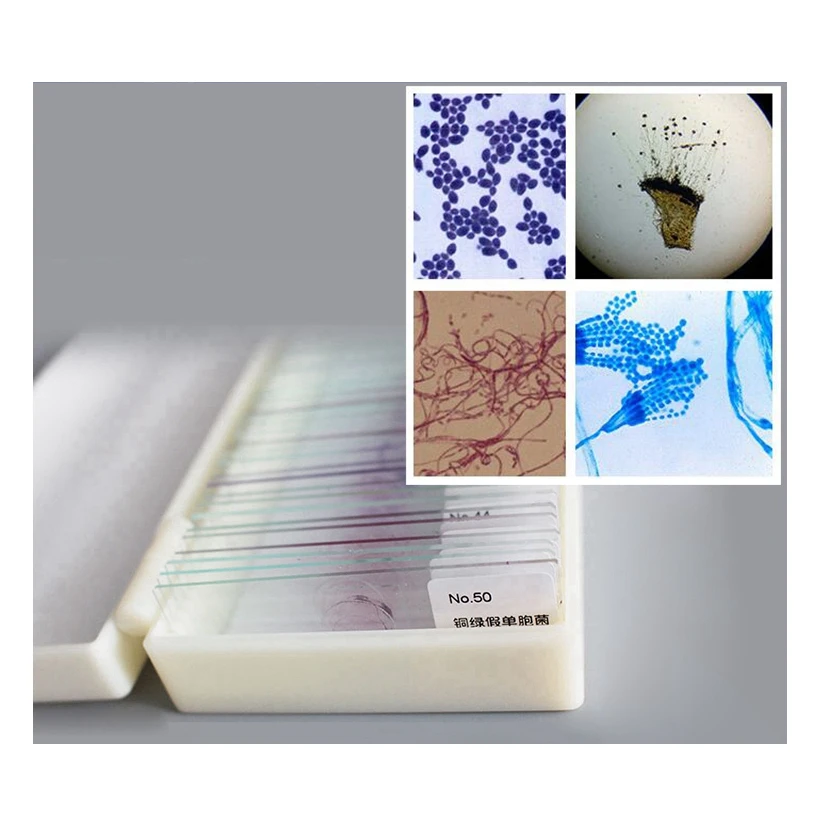 Микроскопы для микроскопа 50 шт.|microscope slides|slides microscopemicroscope specimens |