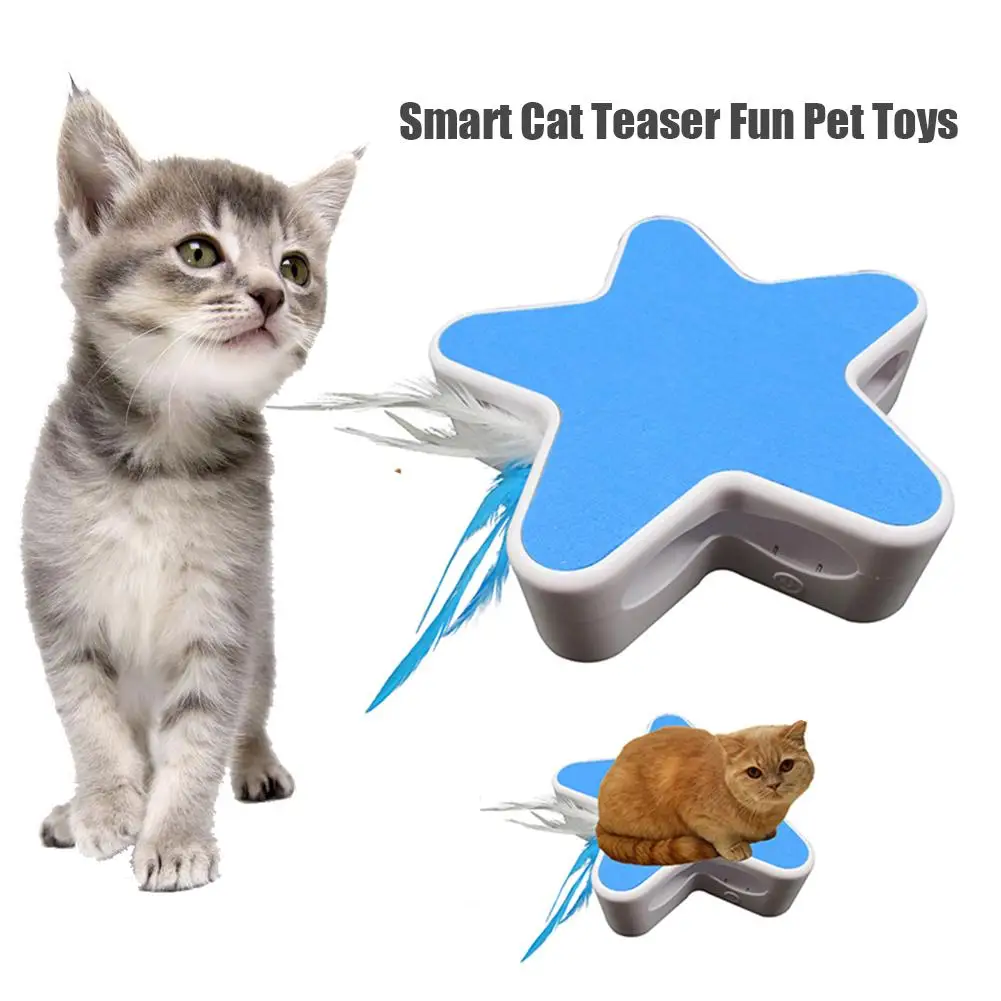 Starfish Cat-Teasing Turntable Image 1