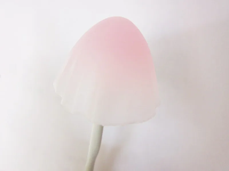 1803525841_1370439761