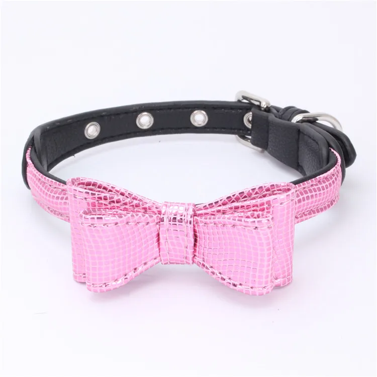 dog collar (12)