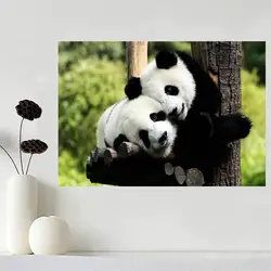 Пользовательские холст печати плакатов Прекрасный Panda плакат ткань Ткань плакат шелка с принтом Ткань принт sq0511