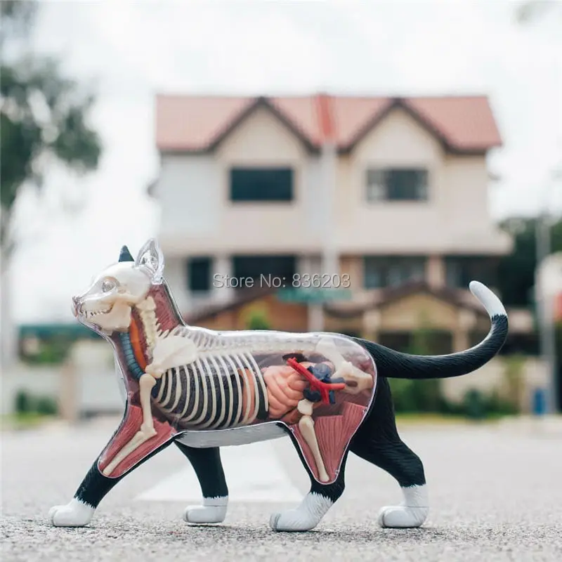 TB2WQz3eNBmpuFjSZFsXXcXpFXa_!!1149136