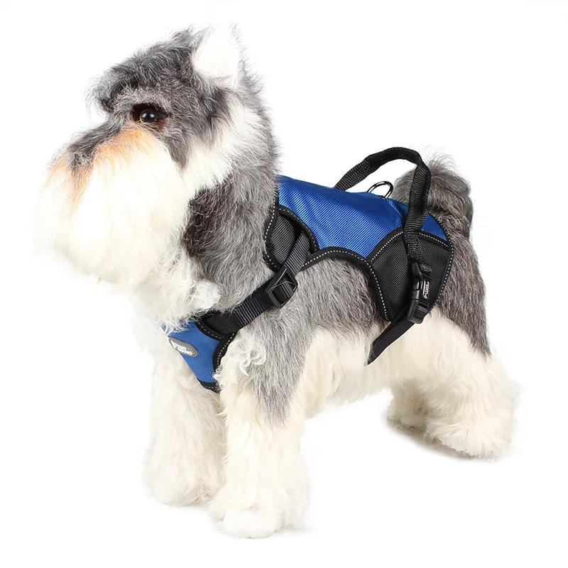 

DannyKarl Cat Pet Dog Chest Strap Leash Adjustable Soft Breathable Dog Harness Nylon Mesh Vest Harness for Dogs Puppy Collar