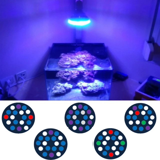 54w full spectrum led