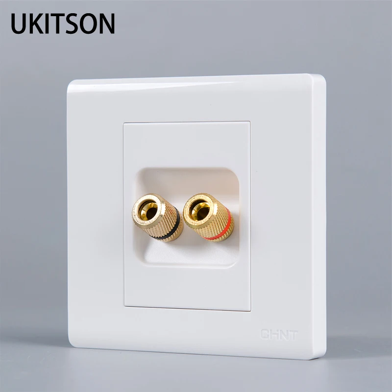 

White Panel Banana Speaker Connector 2 Plugs Left Right Channels For Sound System Using Wall Outlet