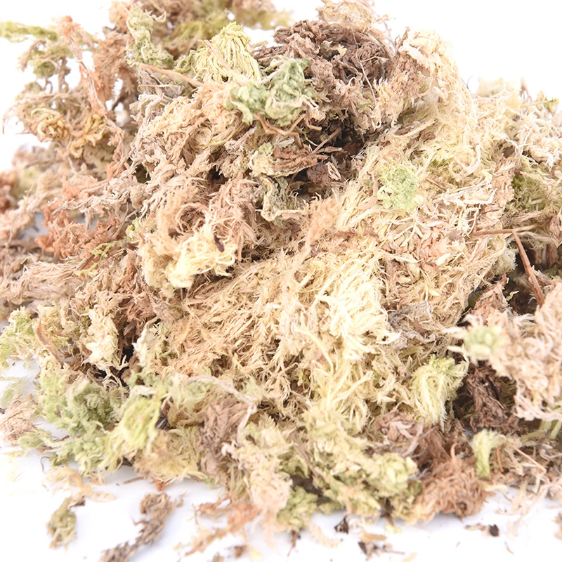1 упаковка 12 л садовое увлажняющее питательное органическое удобрение Sphagnum сухой
