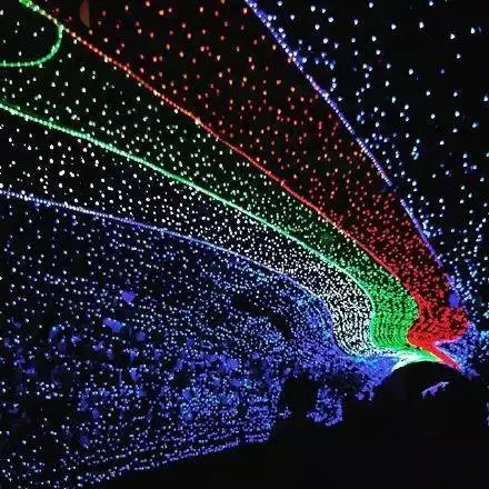 DIP 100 LED 10m led String Decoration Light for Christmas Party Wedding Multicolour,Stars twinkle flash color changing led 220V DIP 100 LED 10m led String Decoration Light for Christmas Party Wedding Multicolour,Stars twinkle flash color changing led 220V