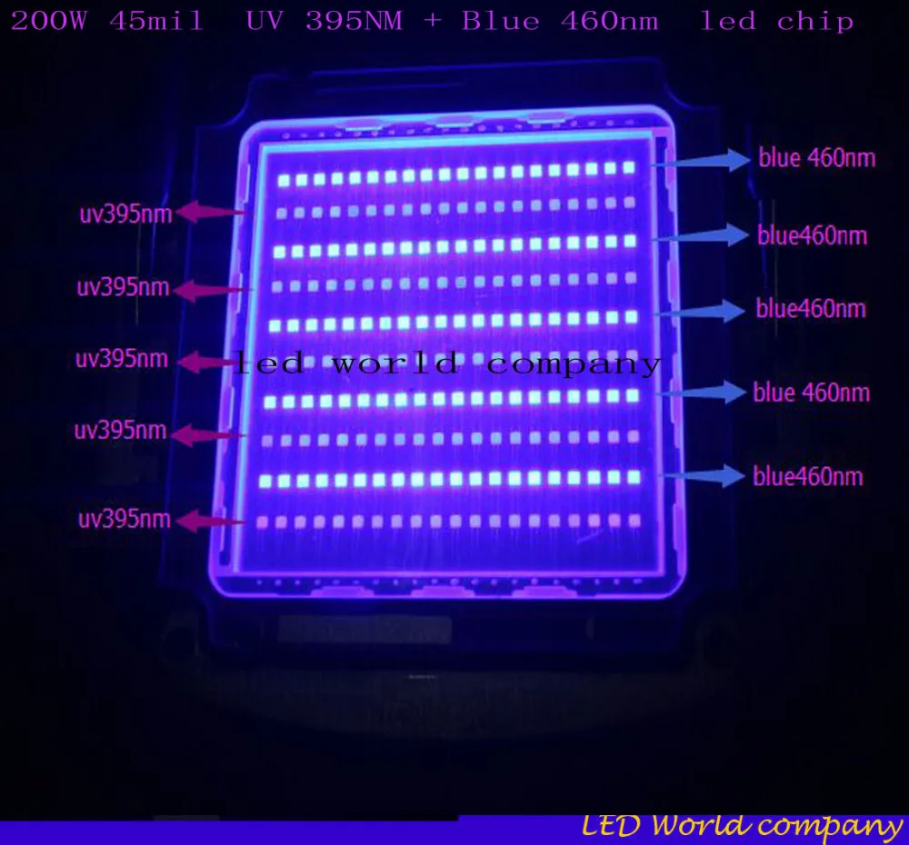 200w22