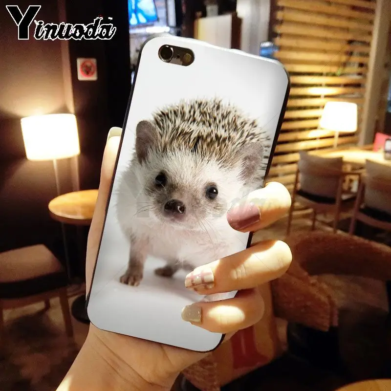 Hedgehog ride a bike Cute in Teacup Animal Art