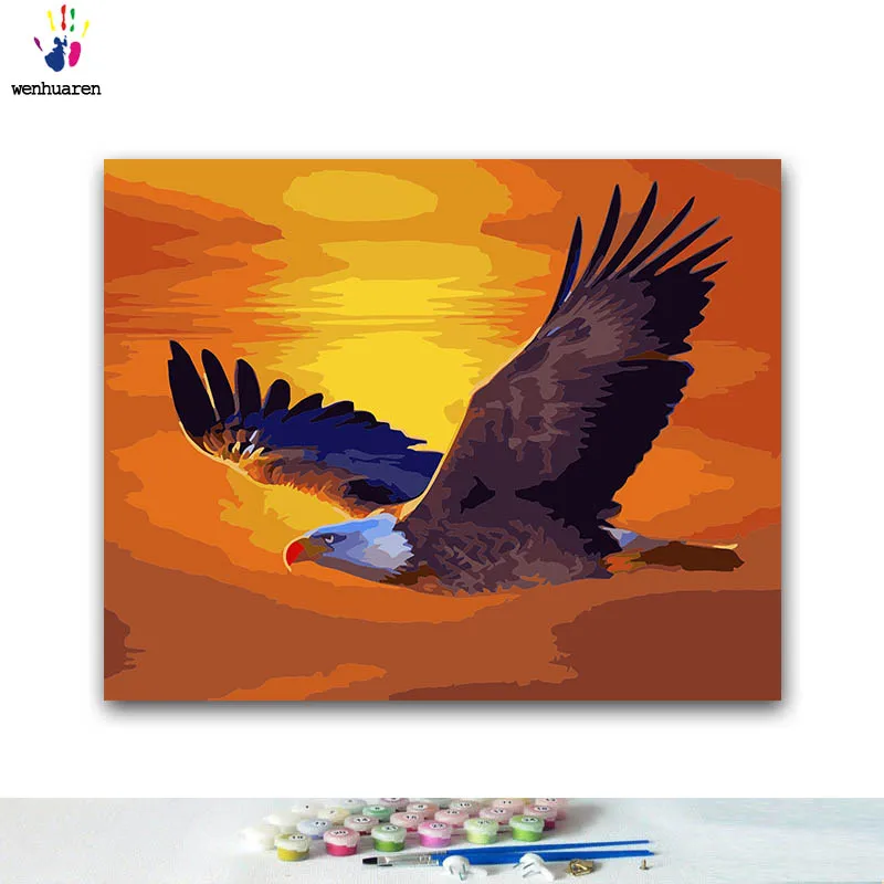 

DIY Coloring paint by numbers Eagle flying in the air paintings by numbers with kits 40x50 framed
