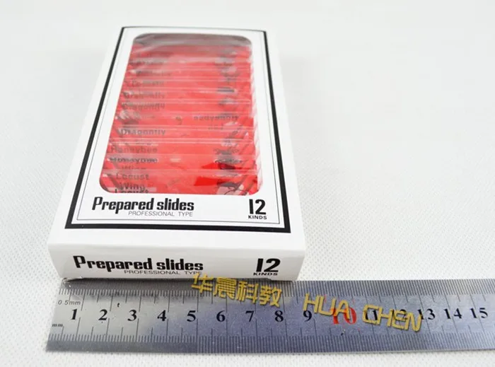 

2018 12pcs Children Toy Kids Educational Insect Plastic Prepared Biological Specimens Microscope Slides for Students