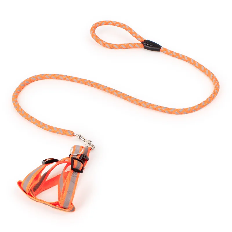 Pet Dog Harness and Leash Set Reflective Nylon Adjustable Small Dog Harness Traction Rope Set for Small Medium Dog  (5)