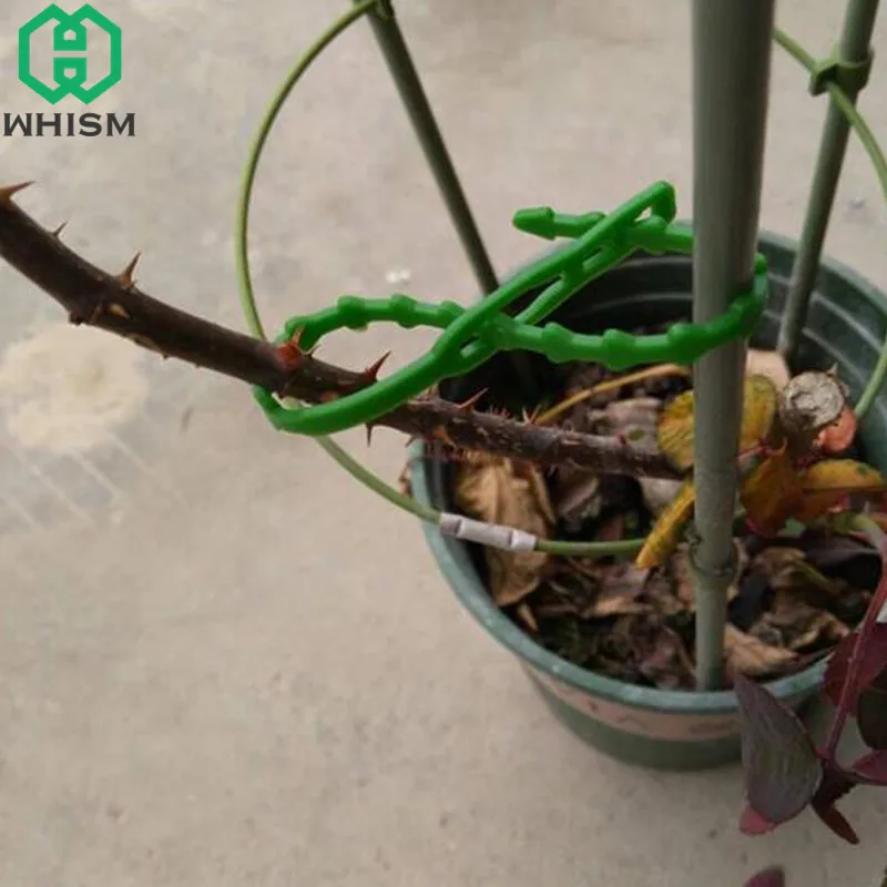 WHISM 20 шт. многоразовый Пластиковый кабель для растений садовые Галстуки дерево альпинистская поддержка горшок для садового растения маркер цветочный растительный галстук для сада