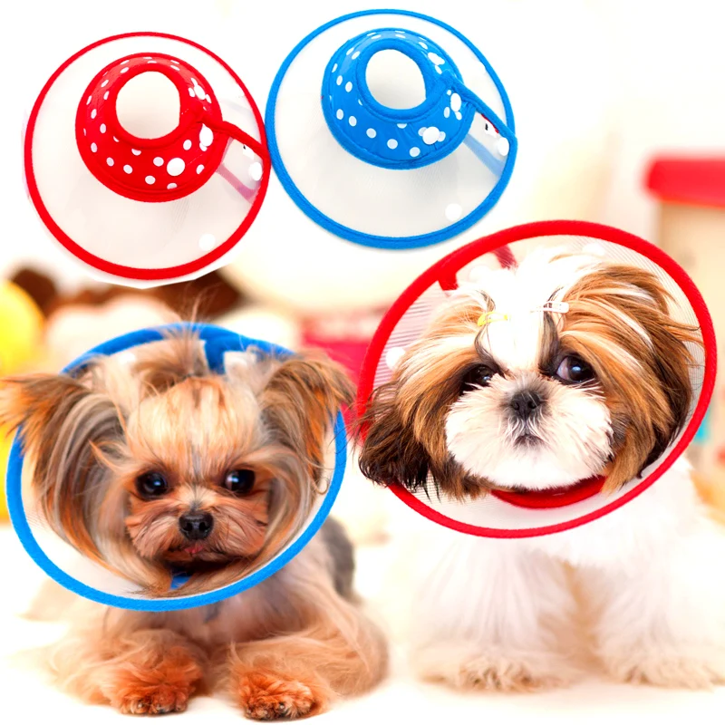 Transparent Anti Scratchy Cat Medical Grooming Senior Pets Muzzle Accessories Puppy Small Animals Chihuahua Yorkshire