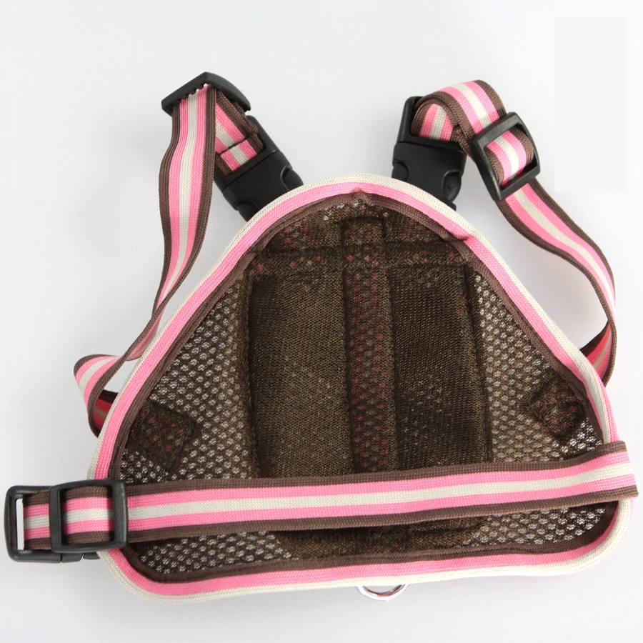 Fashion Sports Pet Dog Backpack Luxury Mesh Pink Coffee Puppies Small Animals School Bag With Leash Set For Chihuahua Yorkshire