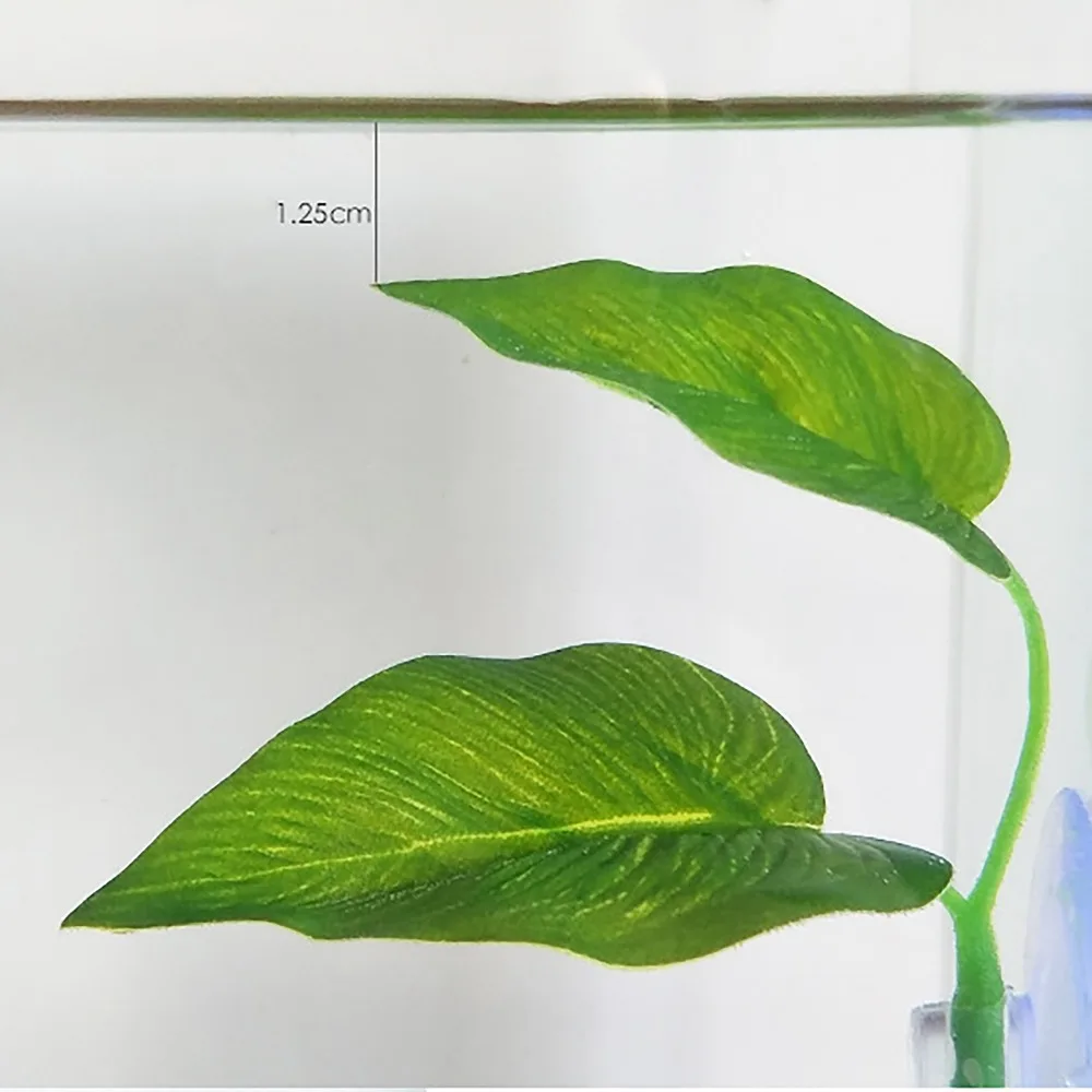 c180731042 (4)