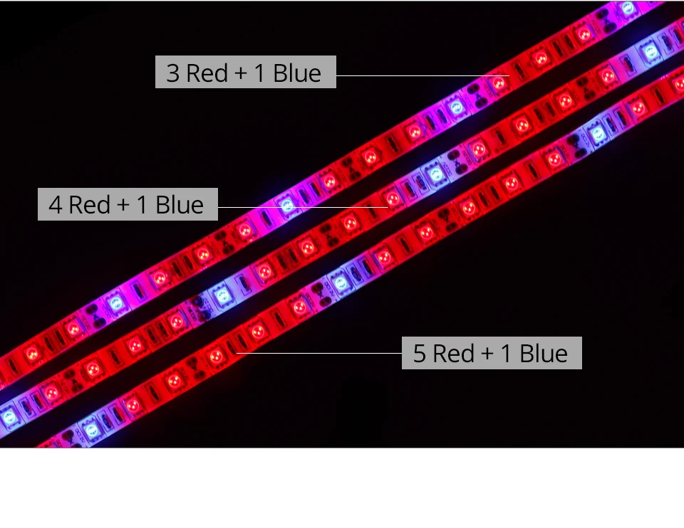 LED Grow Light Full Spectrum 5M LED Strip Light Set Dimmable (4)