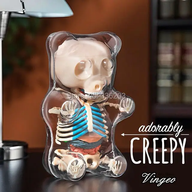

Large size Golbe 4D master Gummi Bear brain skull spine ANATOMY anatomia Skull  anatomical model skeleton male genital Condoms