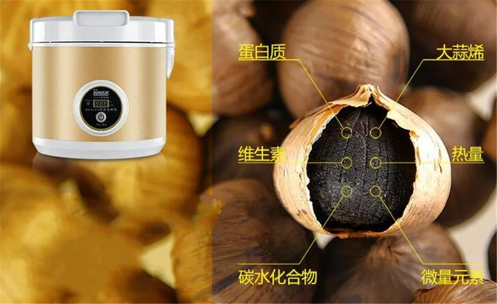 black garlic machine16