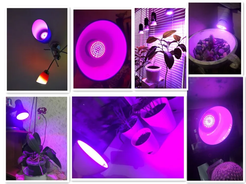 grow light
