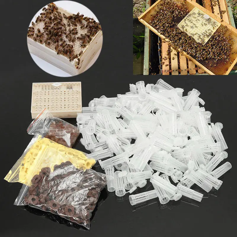 

Bee Queen Rearing Cupkit Box System Hair Roller Cage 110 Cell Cup Beekeeping Kit 14.8*13*2.8cm