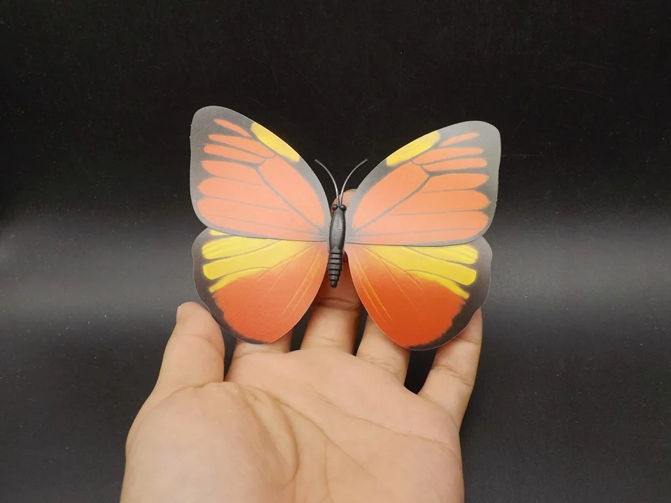 I229-Butterfly (1)