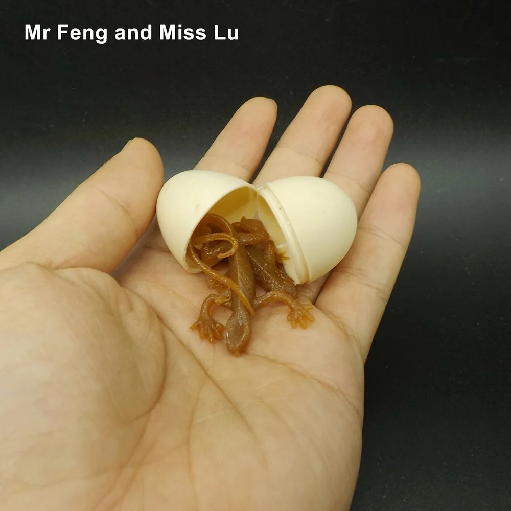 

Halloween Props Scary Toy Egg Insect Model Kid