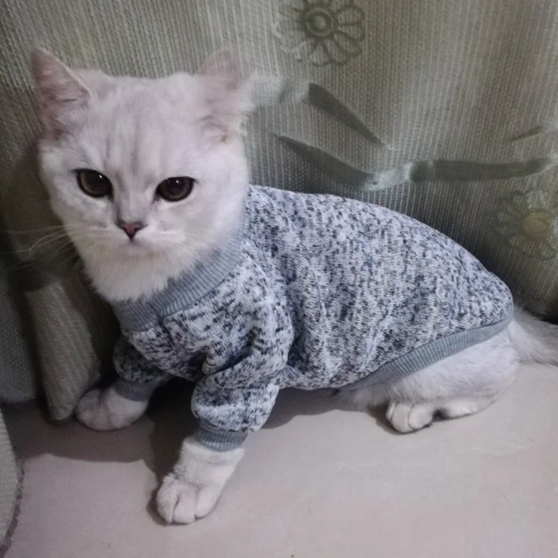 Классический свитер-пуловер для домашних животных; теплая одежда для кошек; толстовка с капюшоном для кошек; костюм для домашних животных; одежда для кошек; Mascotas Katten Gatos; костюм