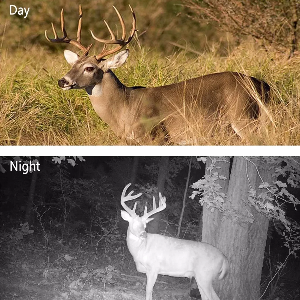 security camera5
