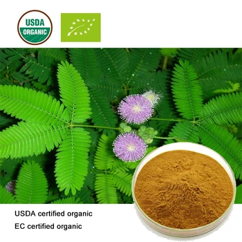 

USDA and EC Certified organic Mimosa Pudica extract 10;1