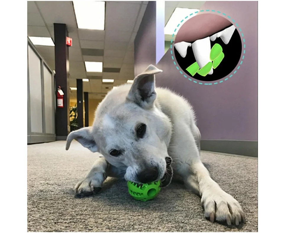 DRESSPET Pet Dog Toys Bite Resistant For Small Large Dogs Rubber Ball Molar Clean Teeth Feeding Elastic Interactive Chewing Toy (5)