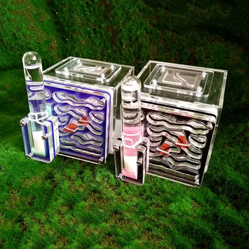 Фермерские муравьи DIY с зоной кормления гнездо фермы акрил насекомое муравьиные