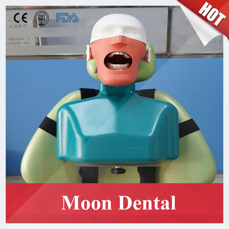 Sennior manikins Phantom Head with Torso for dental education Dental
