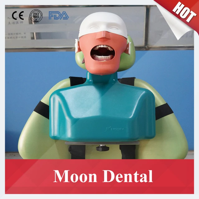 Sennior manikins Phantom Head with Torso for dental education Dental