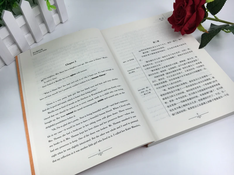 Анн из green gables двуязычный китайский и английский знаменитый во всем мире новый
