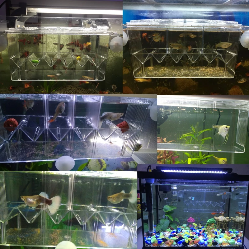 Светодиодный светильник для аквариума из акрила с тремя разделениями Betta Fish Tank с тройным бантом и изоляцией люка, коробка для пород синего и фиолетового цветов AT007