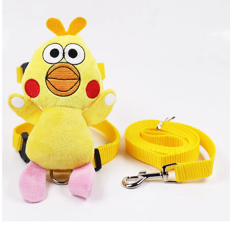 dog harness and leash