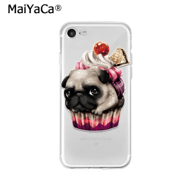Pet Dog Pug puppy