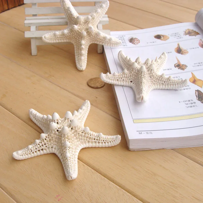 10pcs/lot Shell coral Medium crafts  4-7cm yangtz decoration natural starfish beige white sea star wedding party CRAFTS