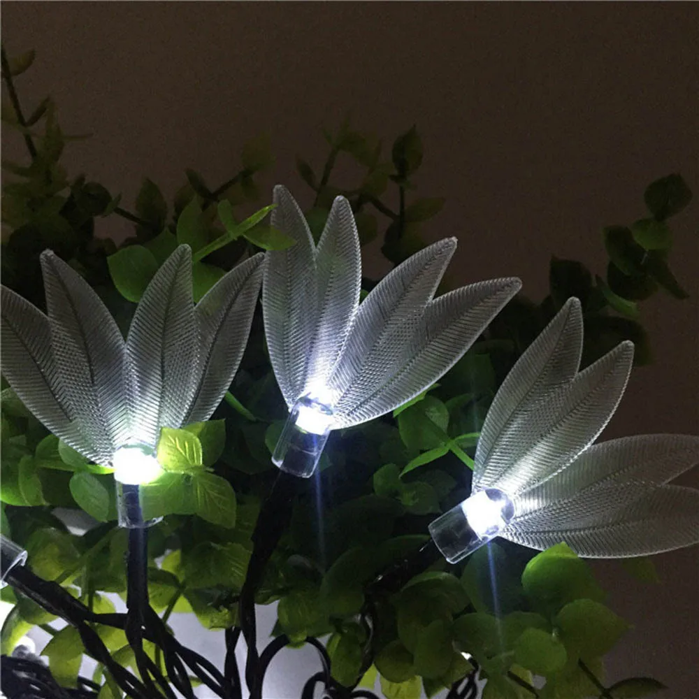 fk104 (3)