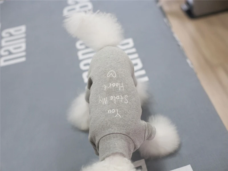 puppy dog clothes winter (12)