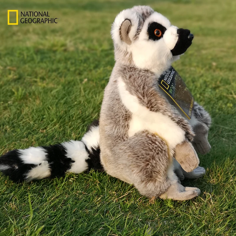 National Geographic плюшевые игрушки животных сидя лемура w/bean детей день рождения хорошие подарки плюш куклы