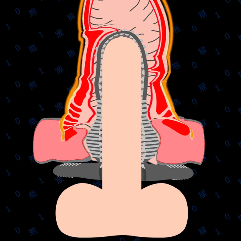HTB1.1ZAlYsrBKNjSZFpq6AXhFXa5