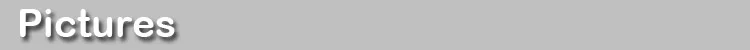 gray 2